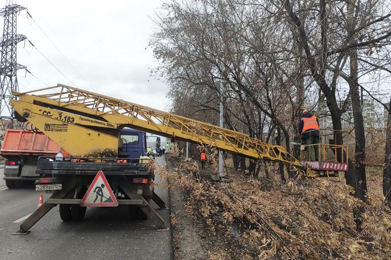 В Красноярске из-за теплой погоды позже обычного начали обрезку деревьев