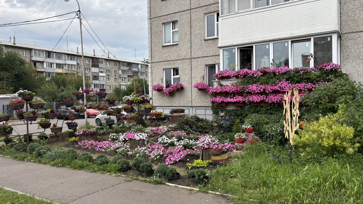 Фото: мэрия Красноярска