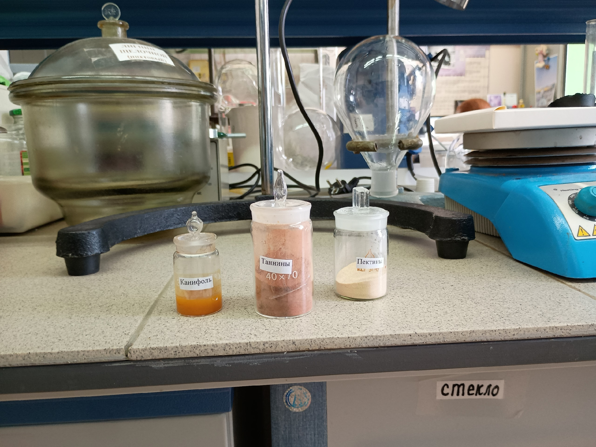 юлия григорьева