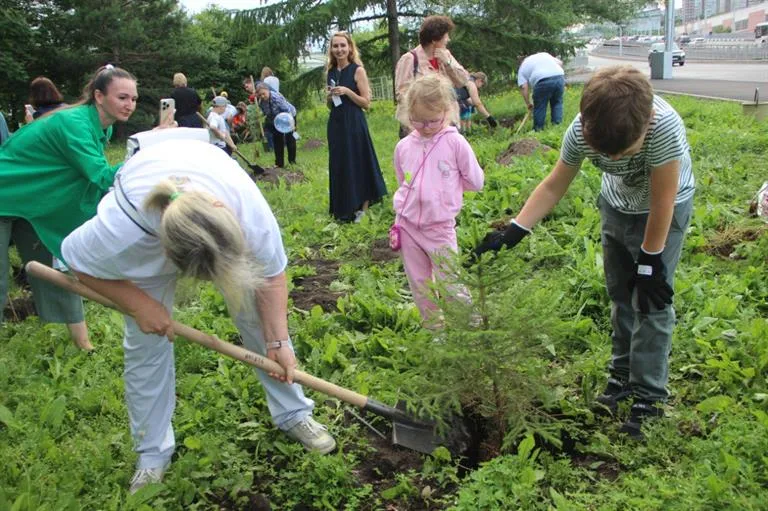 В Красноярске за неделю высадили 136 деревьев