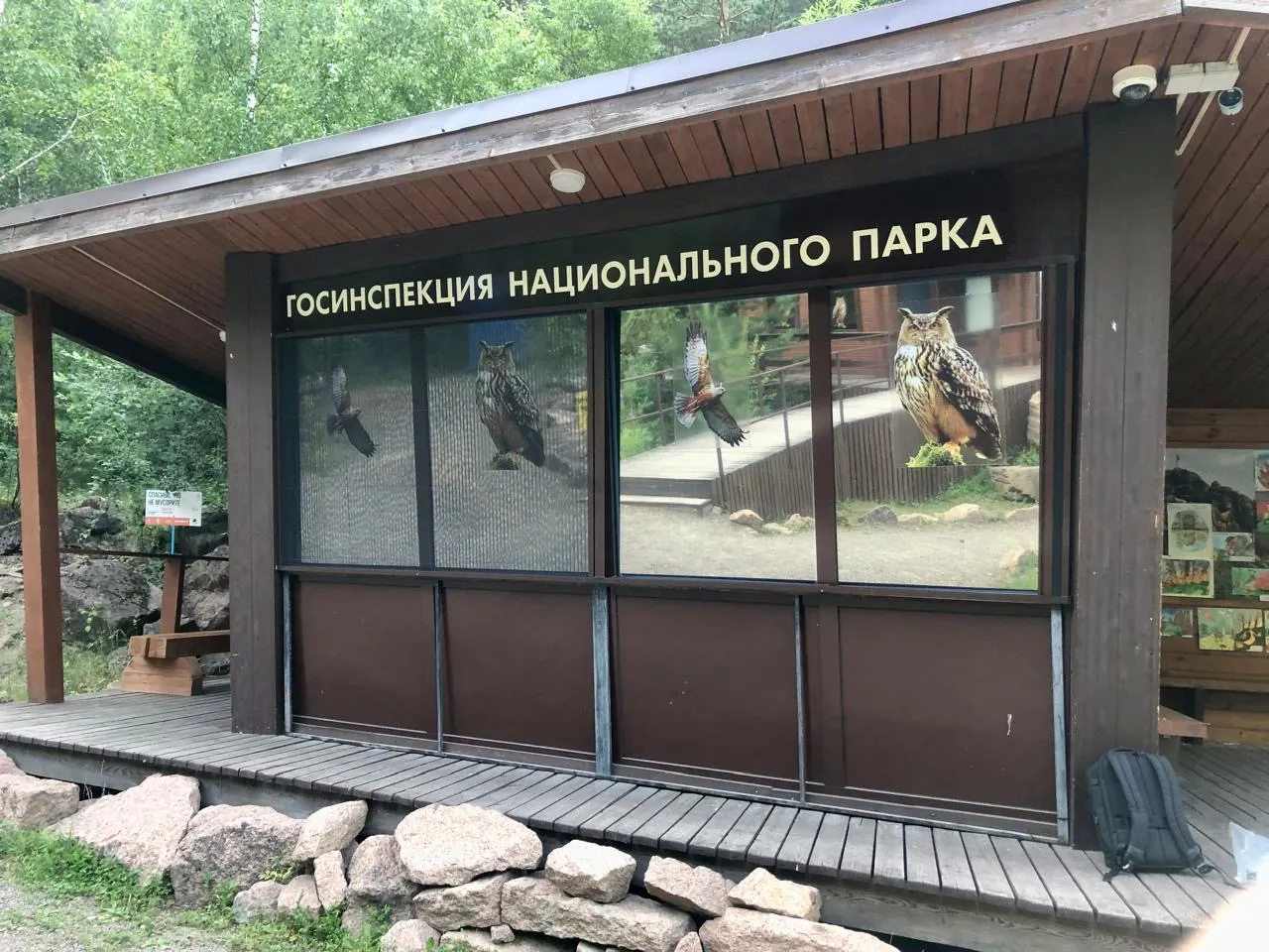 Птиц на Столбах спасают с помощью наклеек и сеток на окнах