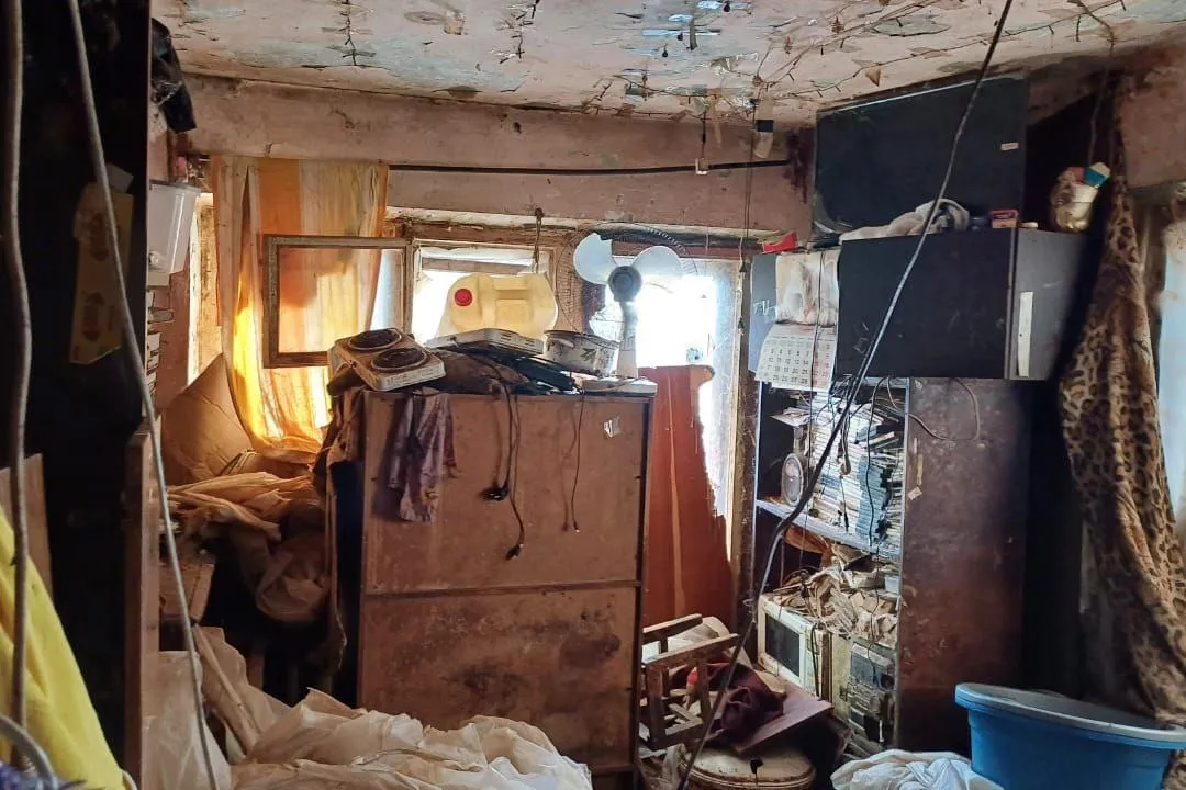 В Красноярском крае женщина держала в квартире 40 собак