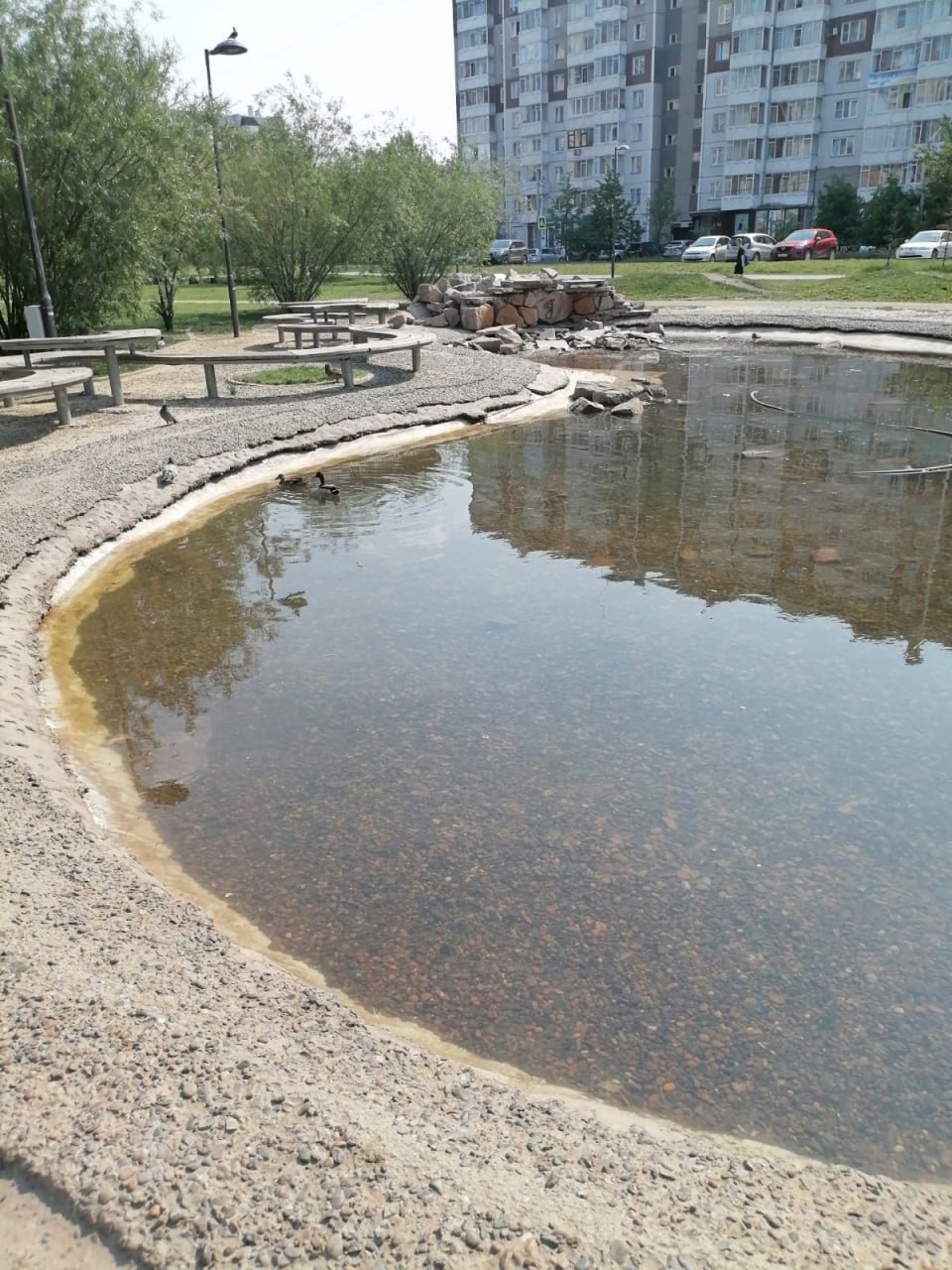 В Красноярске почти заполнили пруд в парке имени 400-летия города