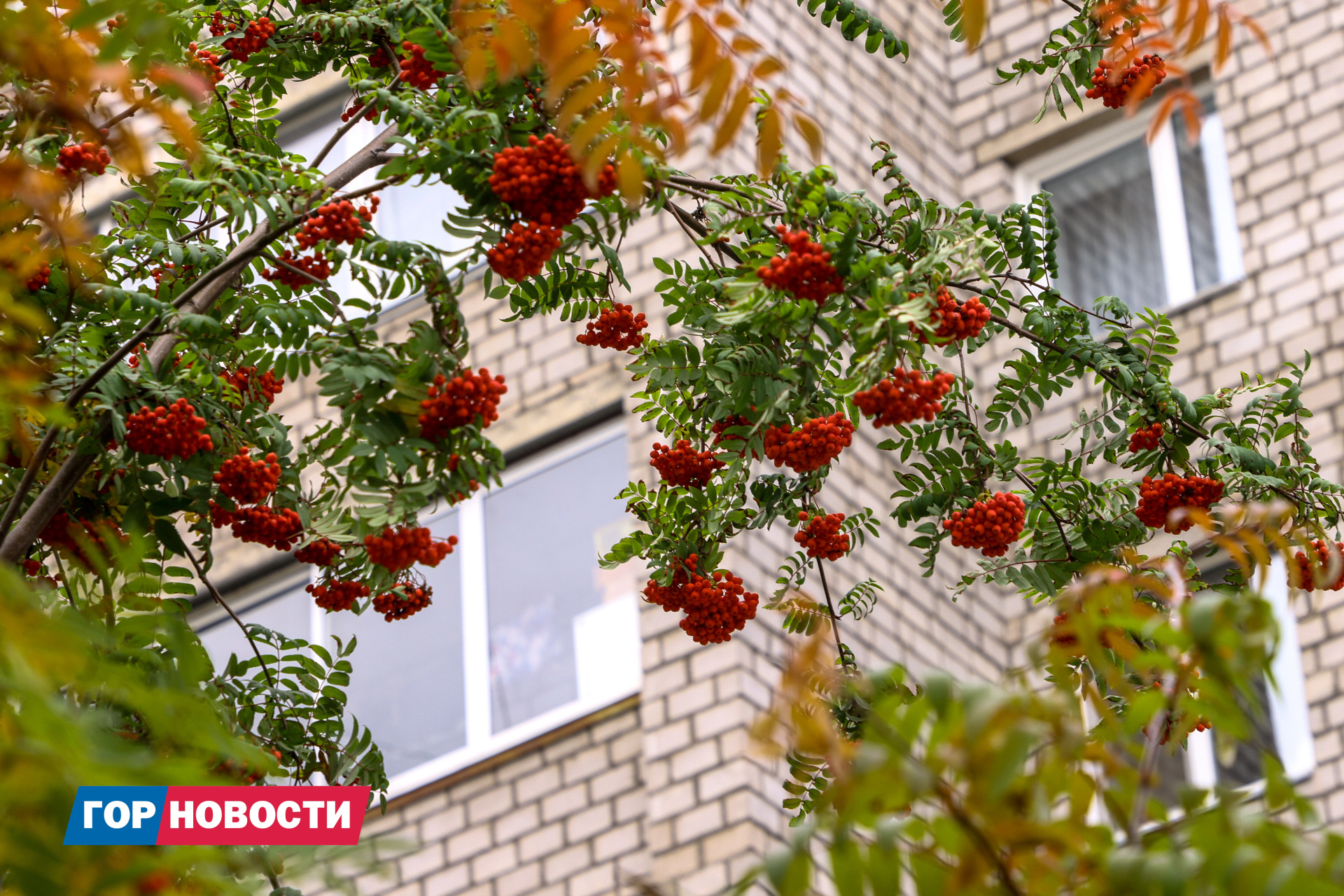 Красноярцам рассказали, как защититься от простуды этой осенью
