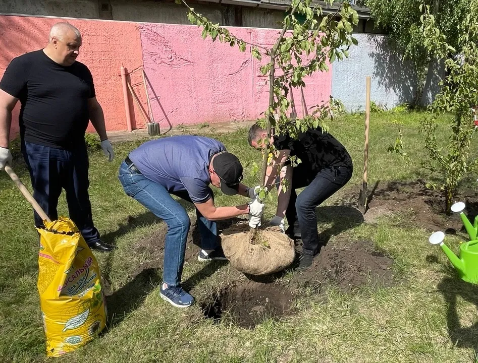 В Красноярском крае незаконно продавали 280 саженцев