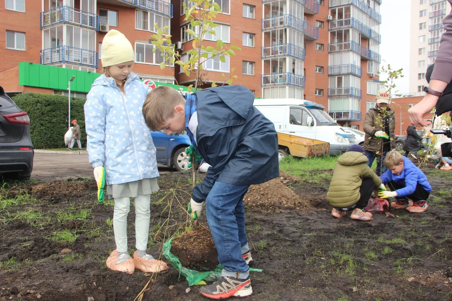 В Красноярске на набережной Качи в Железнодорожном районе посадили 30 яблонь