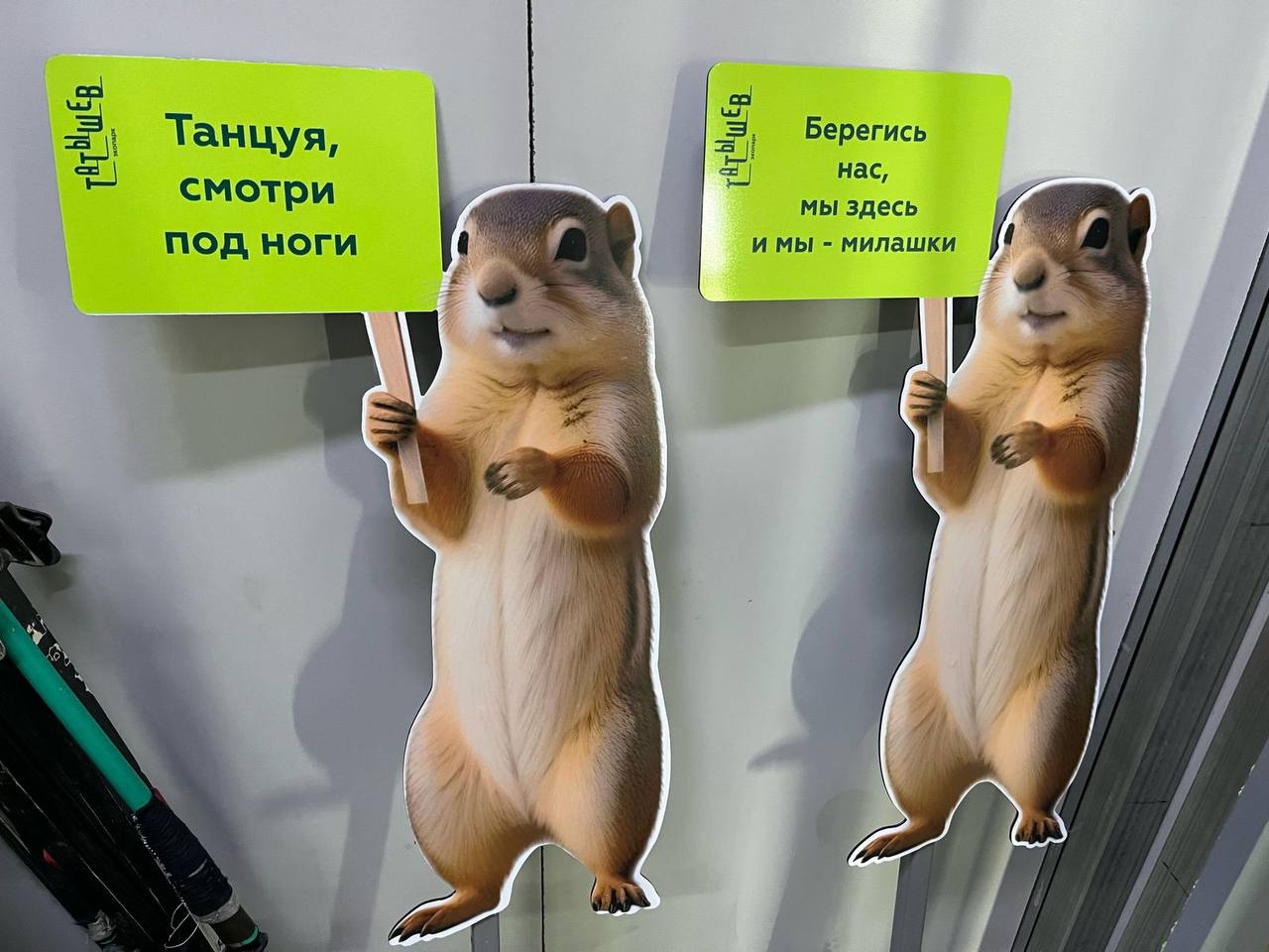 Татышев-парк