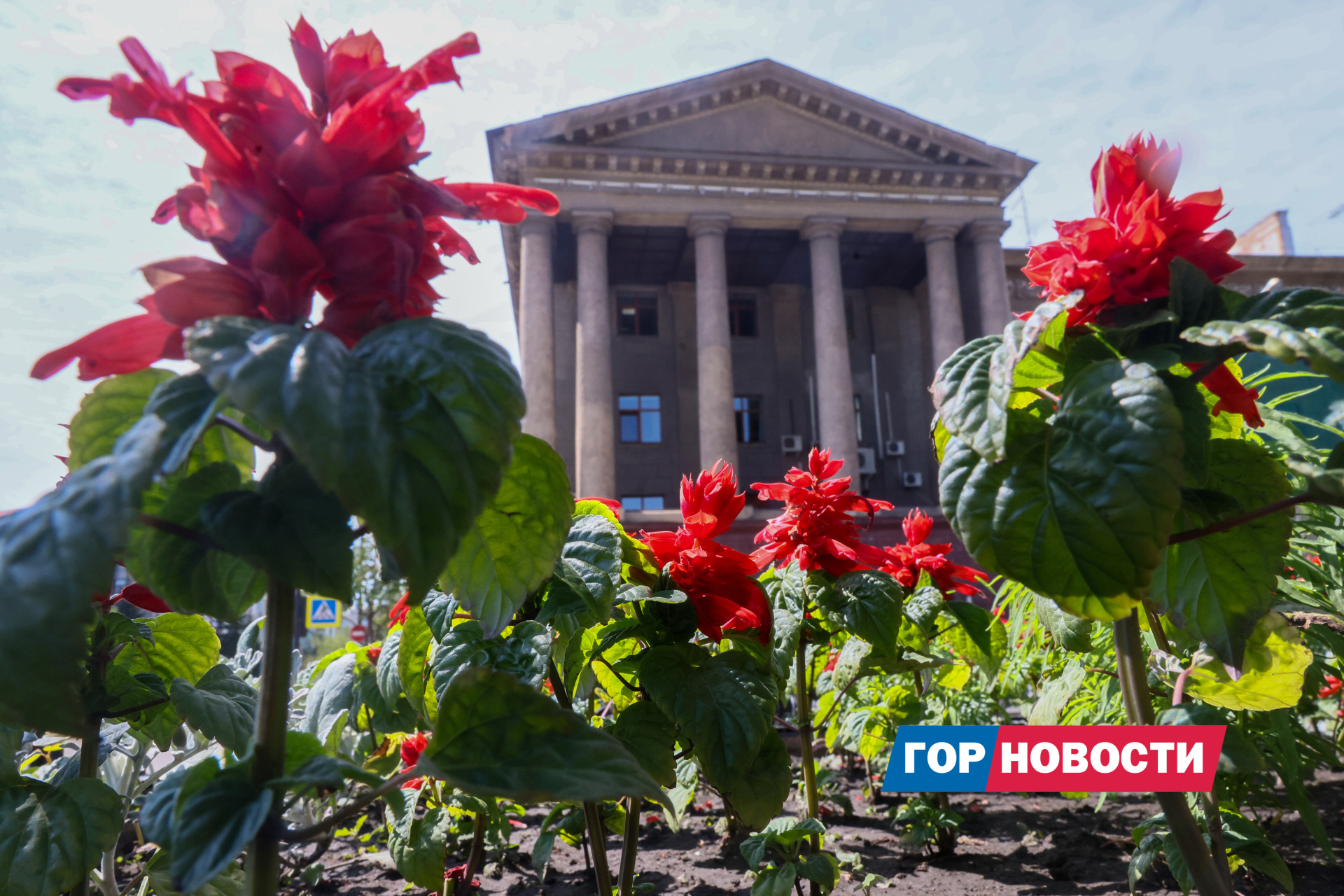 Красноярцев на выходных ожидает жара до +30 градусов
