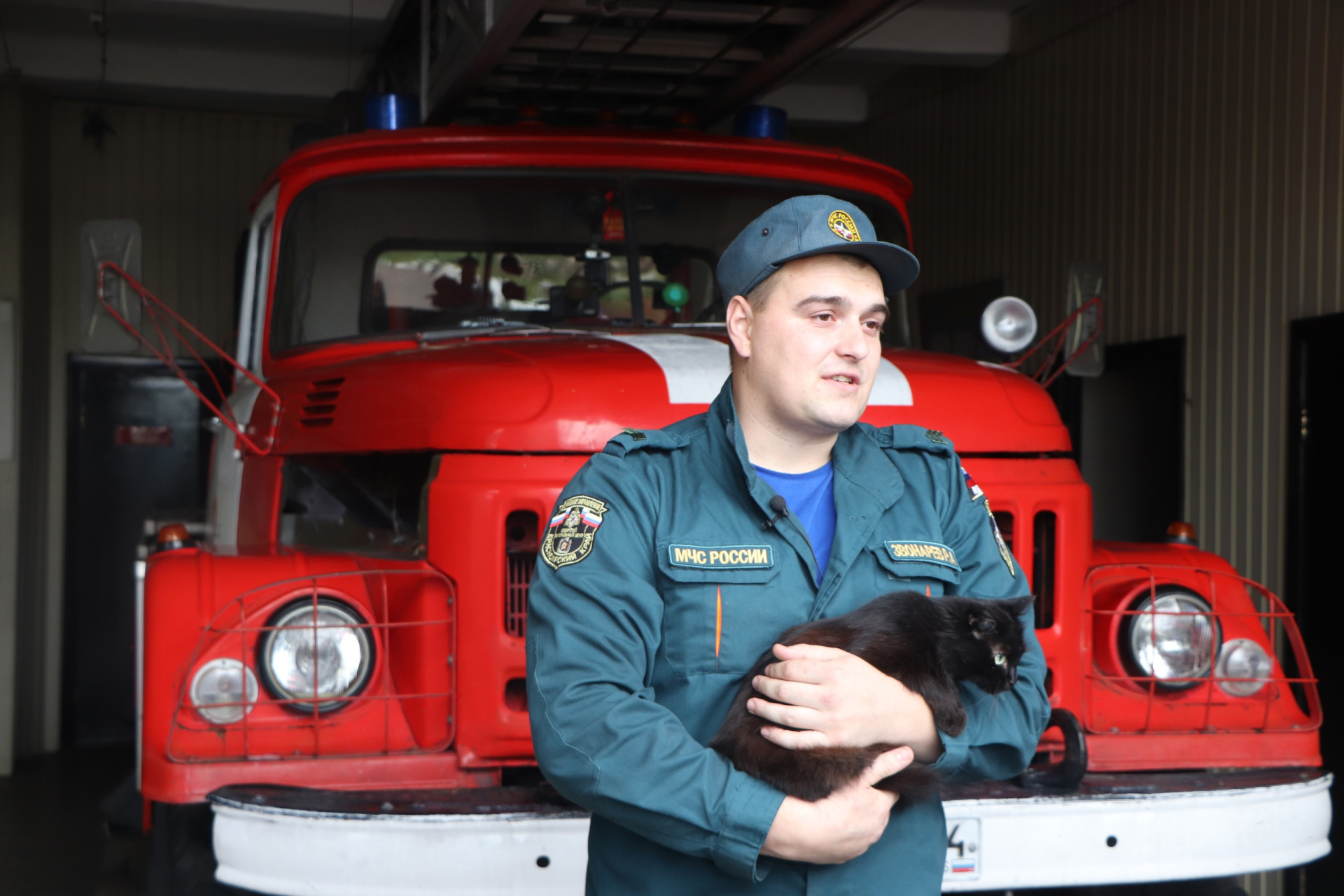 В Красноярске в пожарной части живет кошка-психолог
