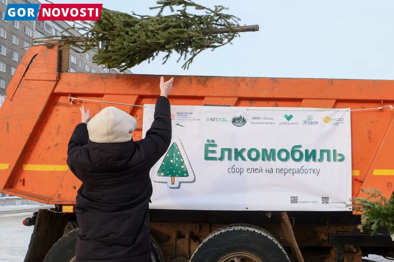 Красноярцы отдали на переработку два КамАЗа новогодних ёлок