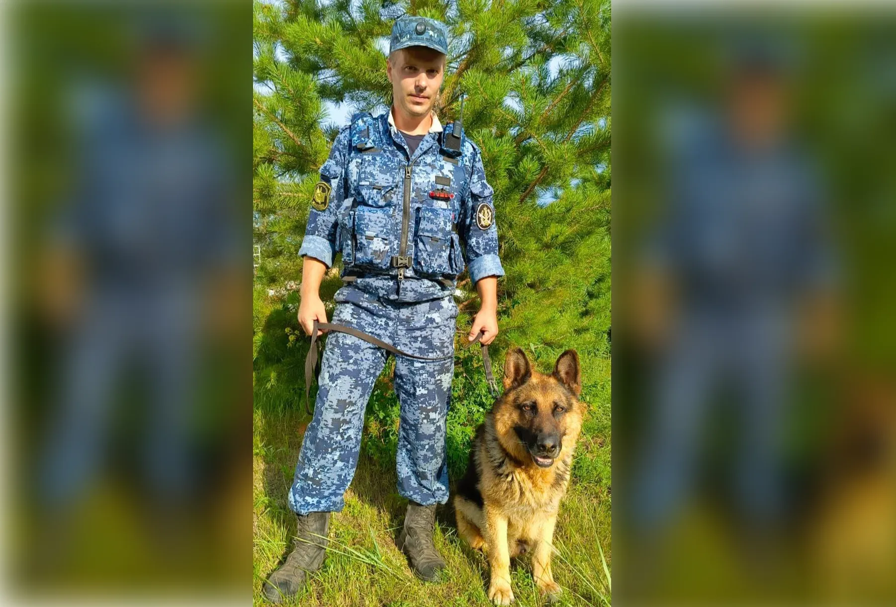 В лесу Красноярского края собака по кличке Трейл помогла найти заблудившуюся пенсионерку
