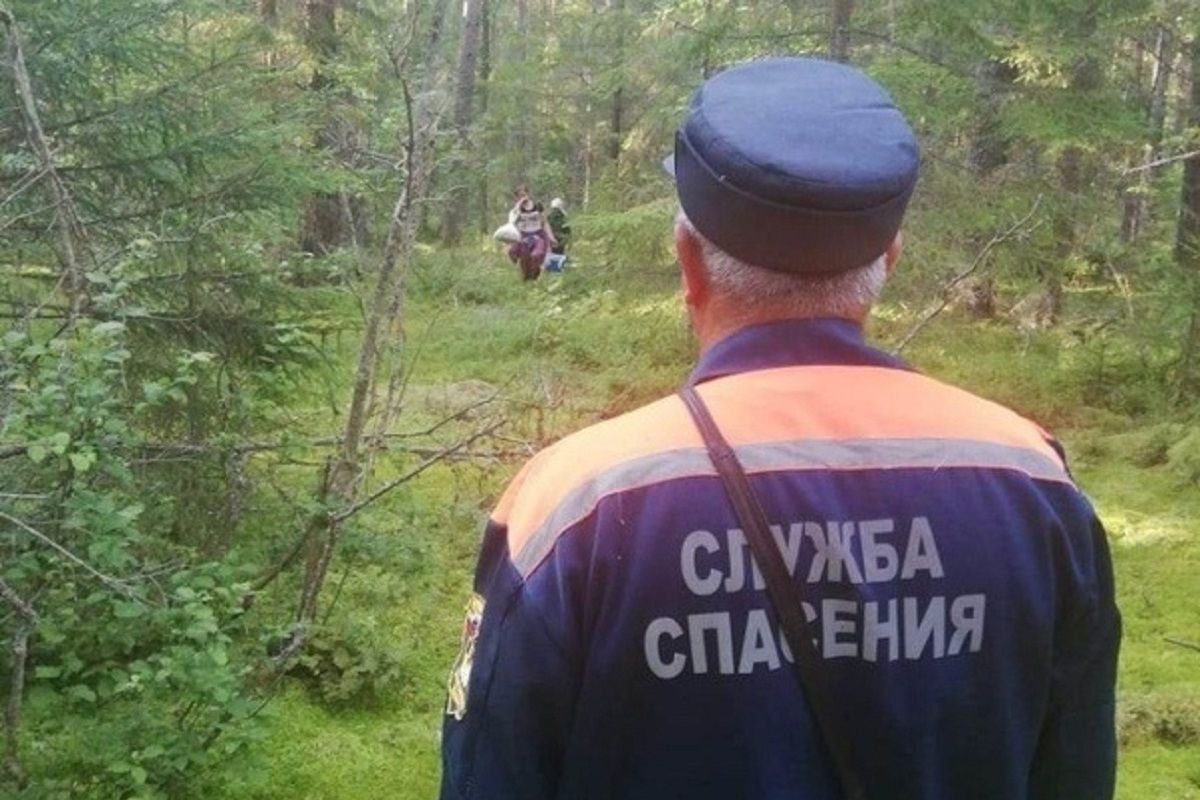 Под Лесосибирском на 75-летнюю пенсионерку упала береза