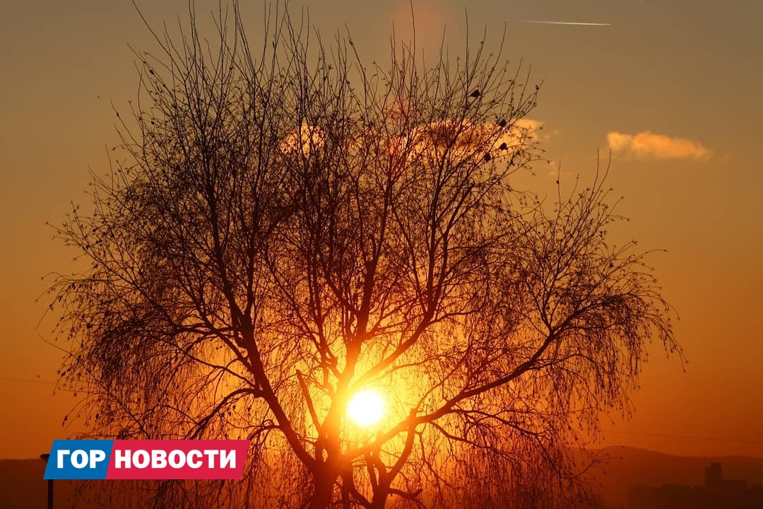 Главные Gornovosti недели: подорожание проезда, новые школы, массовое захоронение и схемы метротрамвая