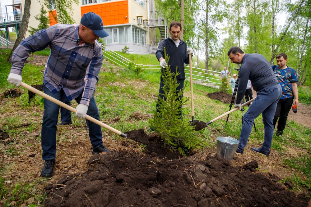В Красноярске началось обновление Березовой рощи СФУ