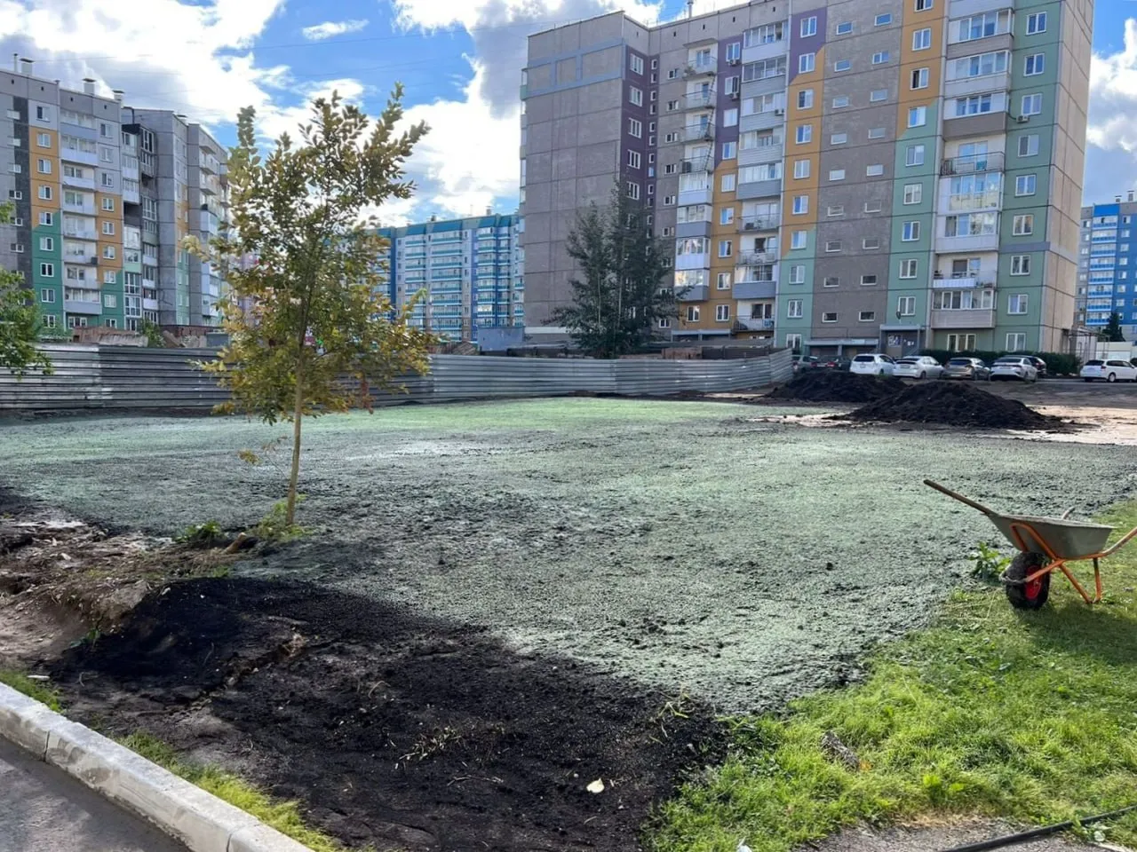 В Красноярске заброшенный пустырь на улице Дмитрия Мартынова засеяли газоном