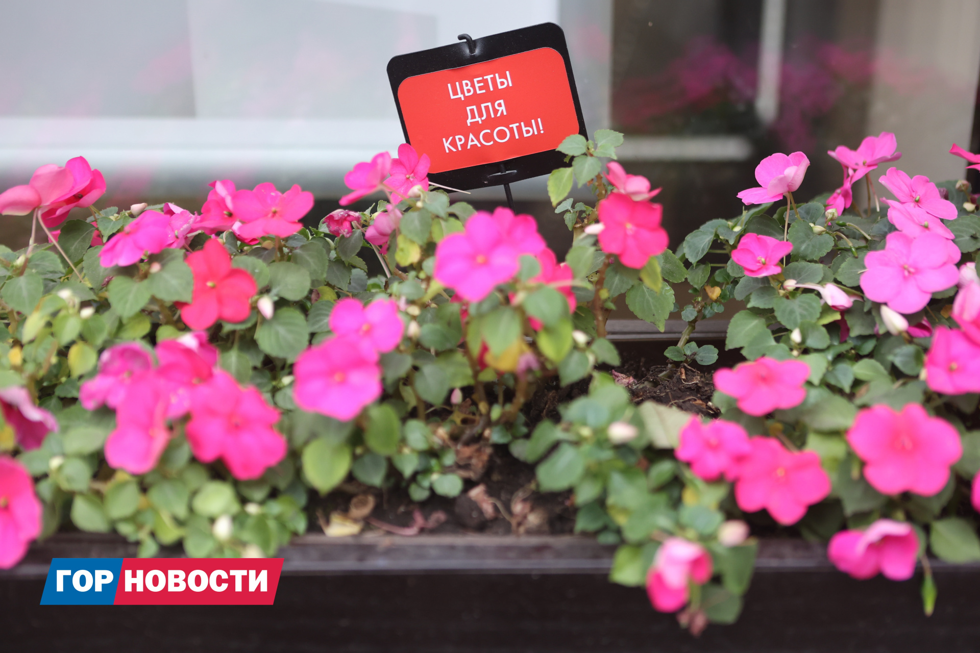 Сегодня в Красноярске тепло и ясно