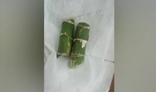 В Канском районе четверо детей приняли ядовитое растение за бамбук и попали в больницу