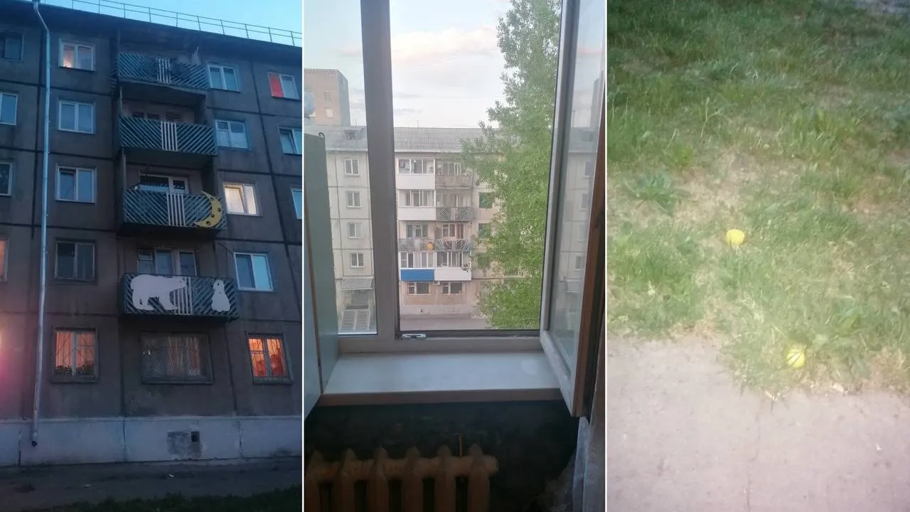 В Красноярском крае осудят мать за падение 4-летнего ребёнка из окна