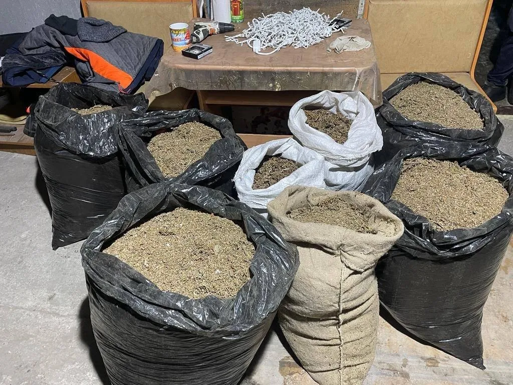 В Красноярском крае у мужчины нашли 49 кг марихуаны в утеплителе для крыши