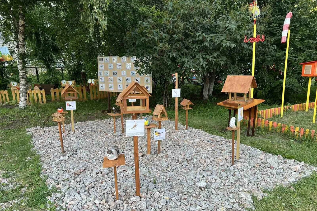 В Красноярске в детском саду появилась «столовая для пернатых»