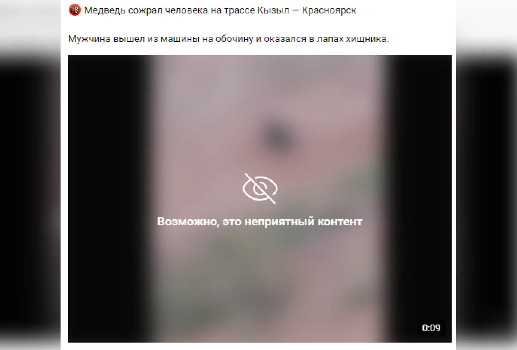 Видео с жестоким нападением медведя на жителя Красноярского края оказалось фейком