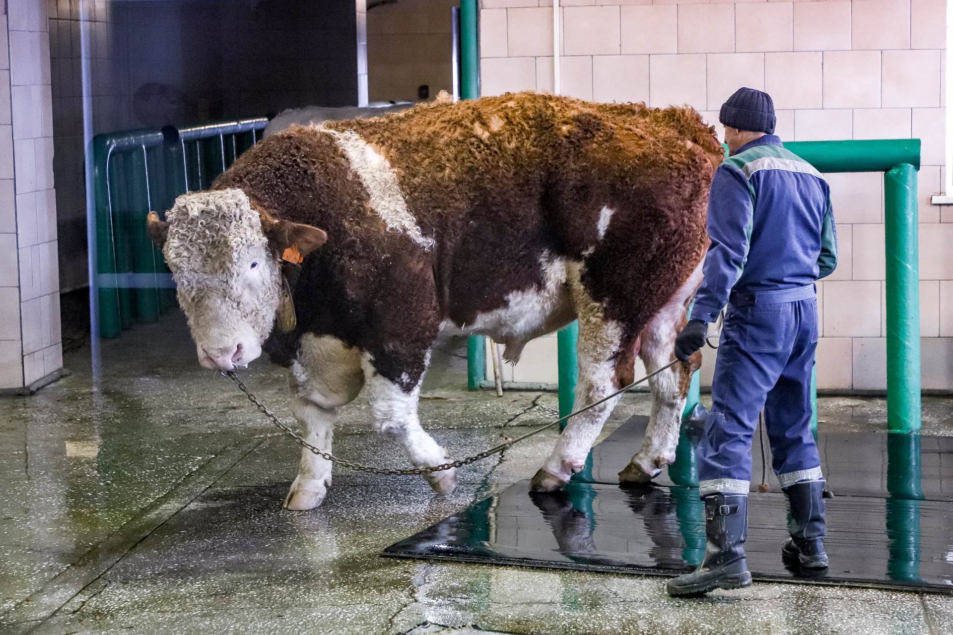 D-IMG_0855.jpg D-IMG_0855.jpg