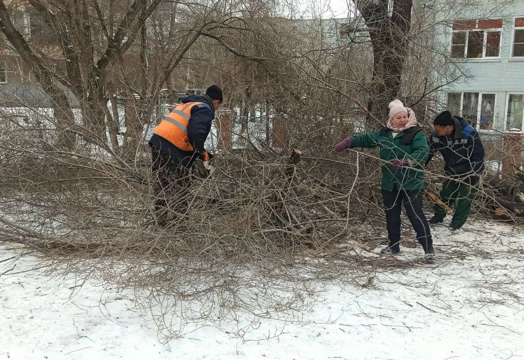 В Железнодорожном районе Красноярска обрезали деревья на 20 улицах