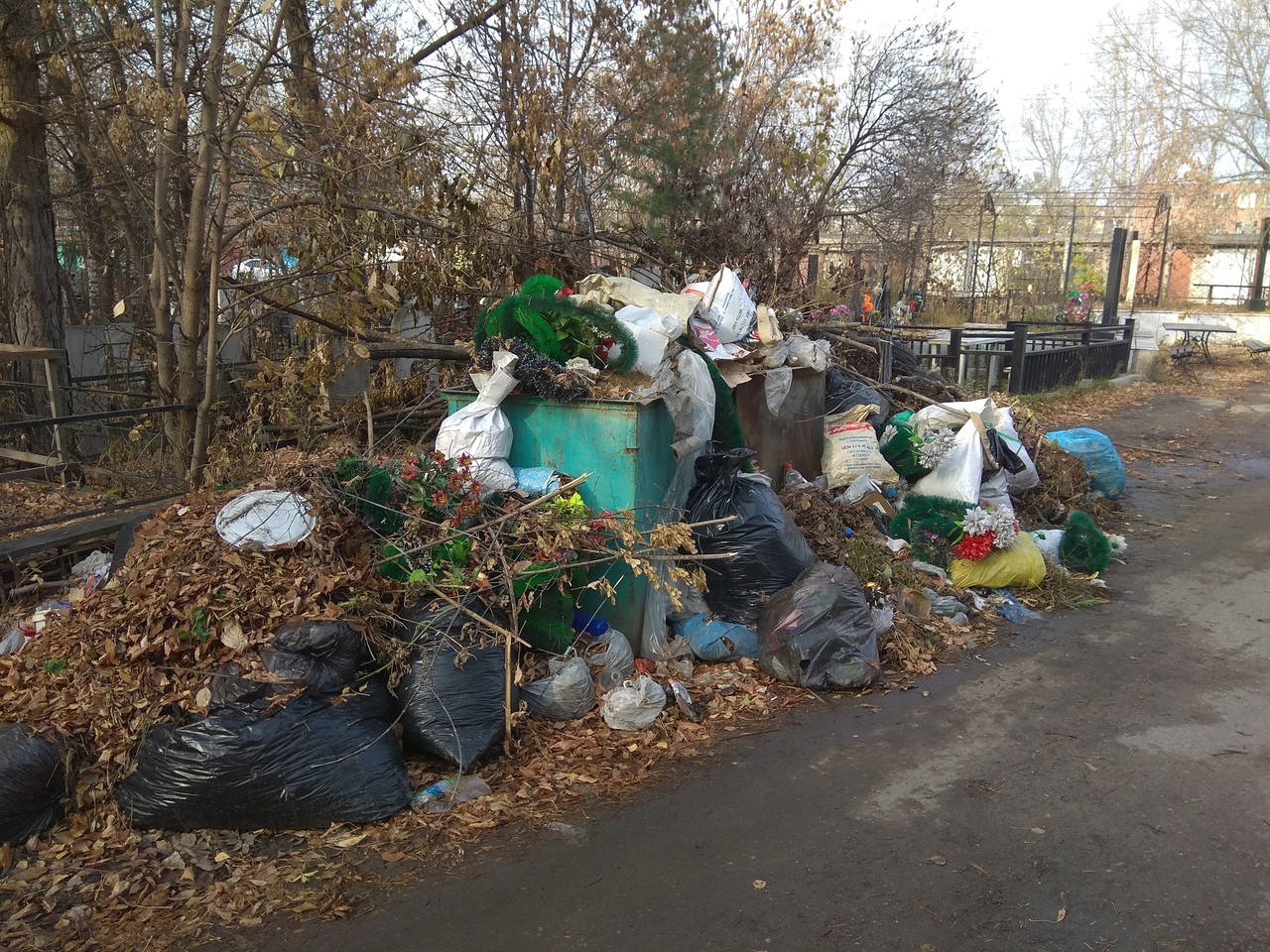 В Красноярском крае крыса поцарапала ребенка возле мусорных баков