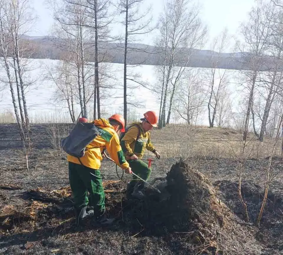 В Красноярском крае потушили первый в 2024 году лесной пожар