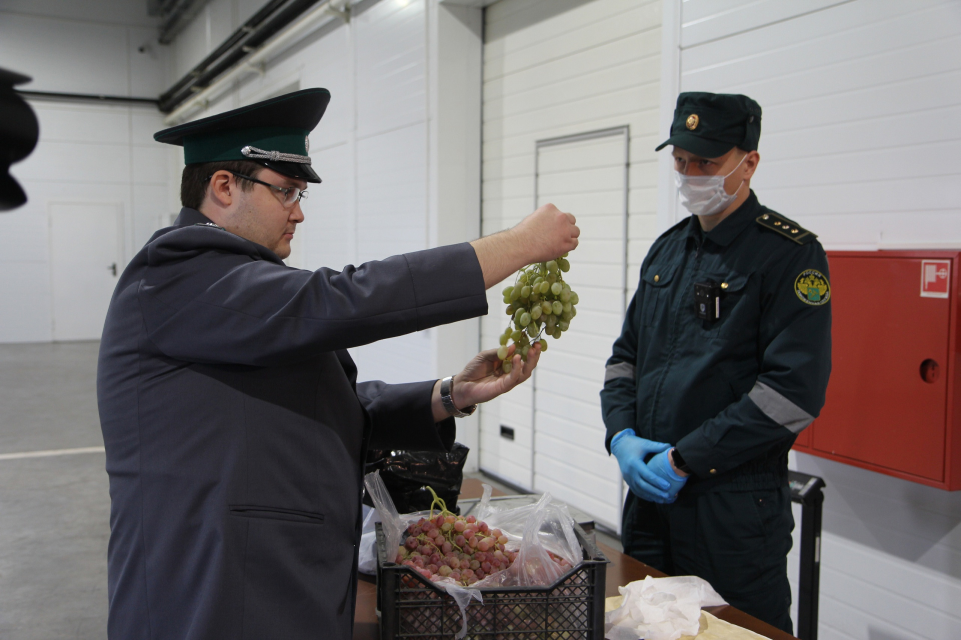 С начала года в Красноярский край ввезли свыше 4 тысяч тонн импортной продукции
