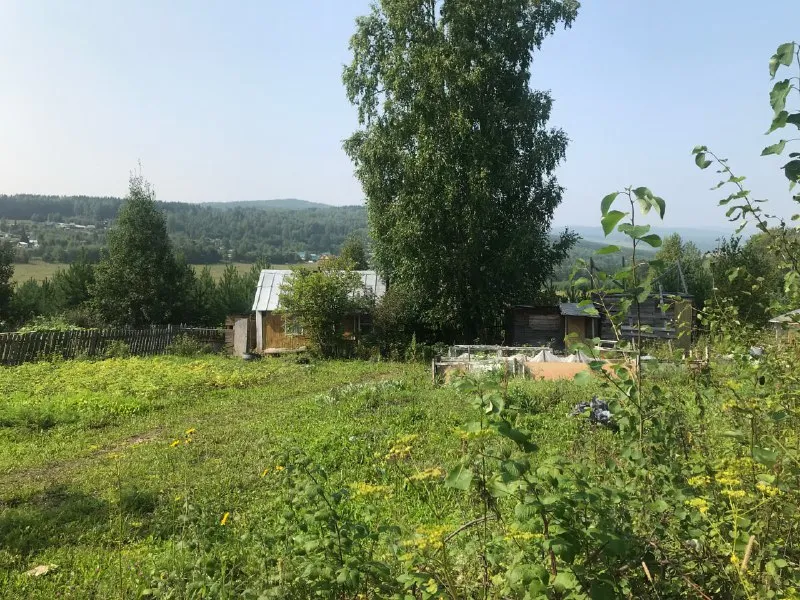 Красноярцы могут оформить в собственность чужие дачные участки