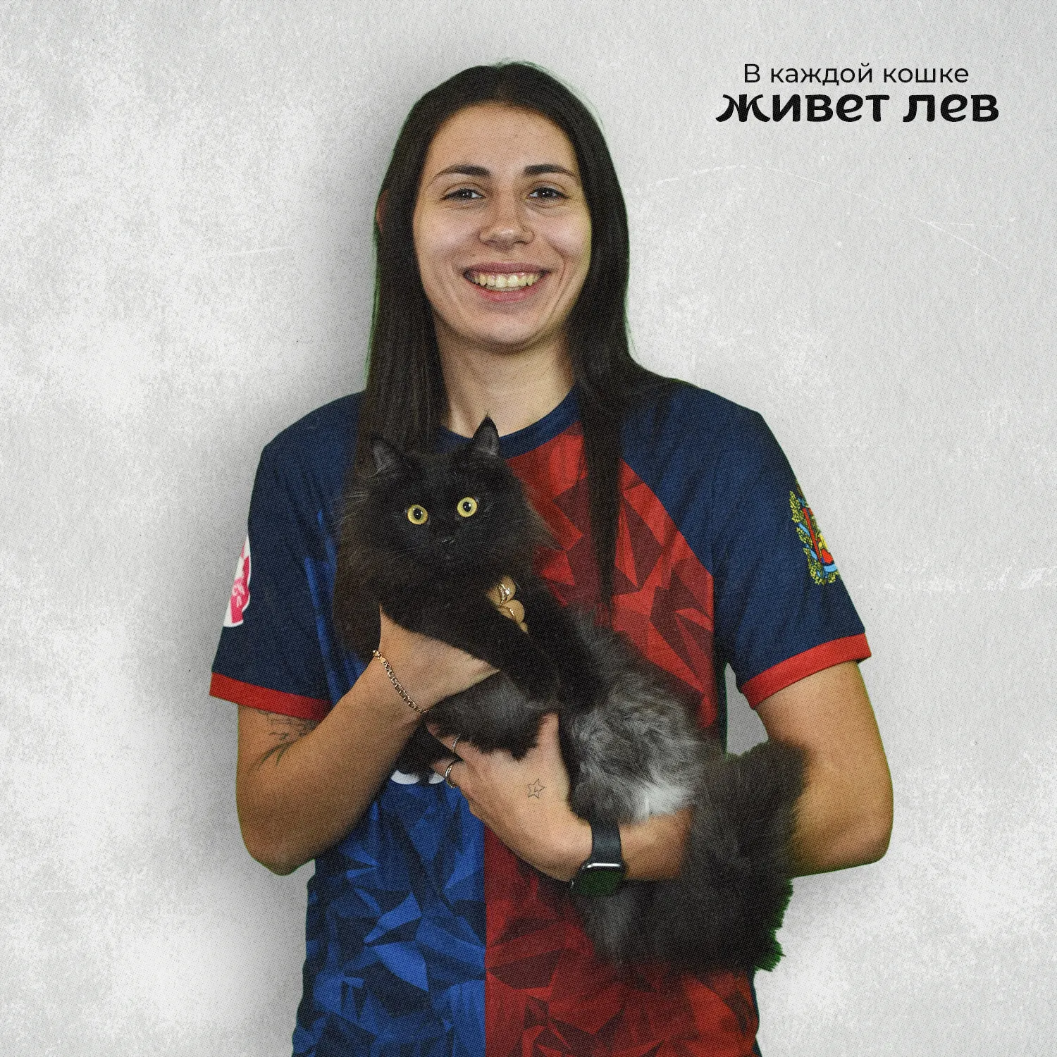 жфк кошки 1