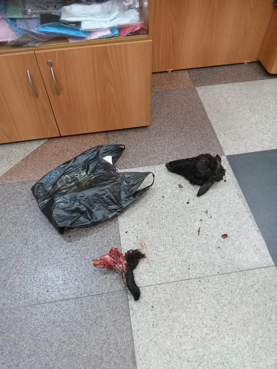 В Красноярске мужчина ворвался в храм Рождества Христова с головой барана
