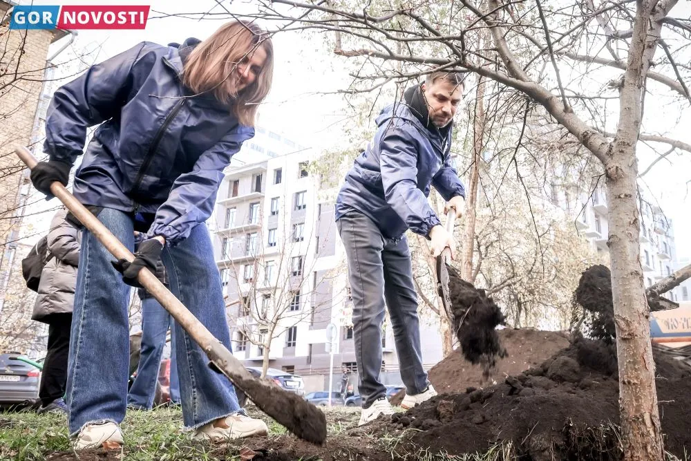 Посадка деревьев.
Дмитрий Шабалин