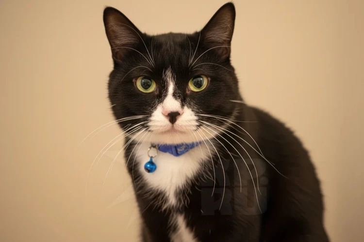 это от КП, не БРАТЬ!!! это от КП, не БРАТЬ!!!