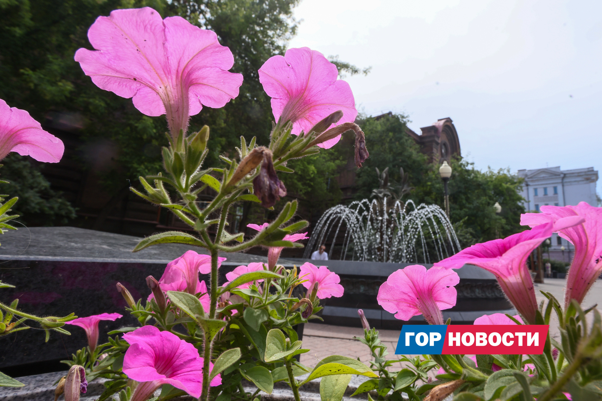 Конец июля в Красноярске будем жарким, но пасмурным