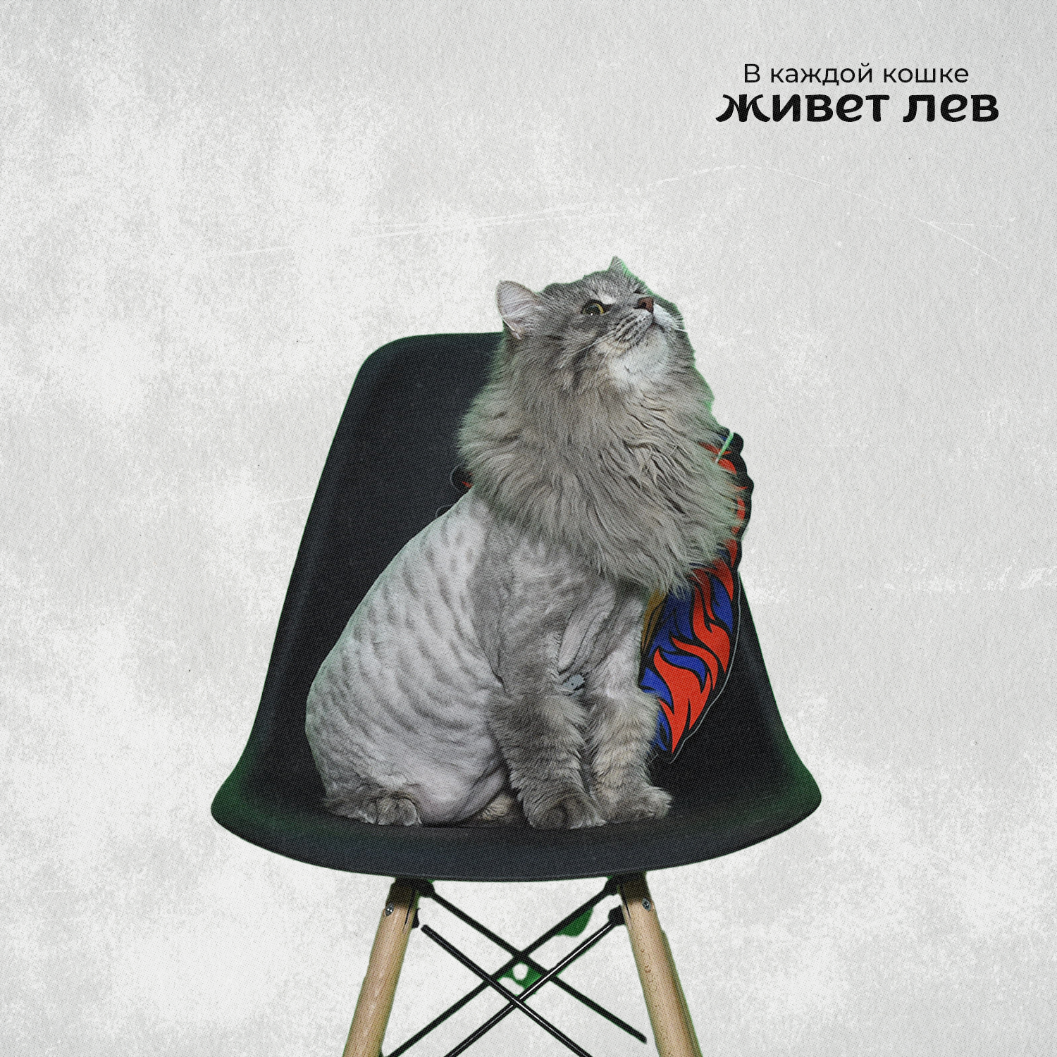 жфк 2.png