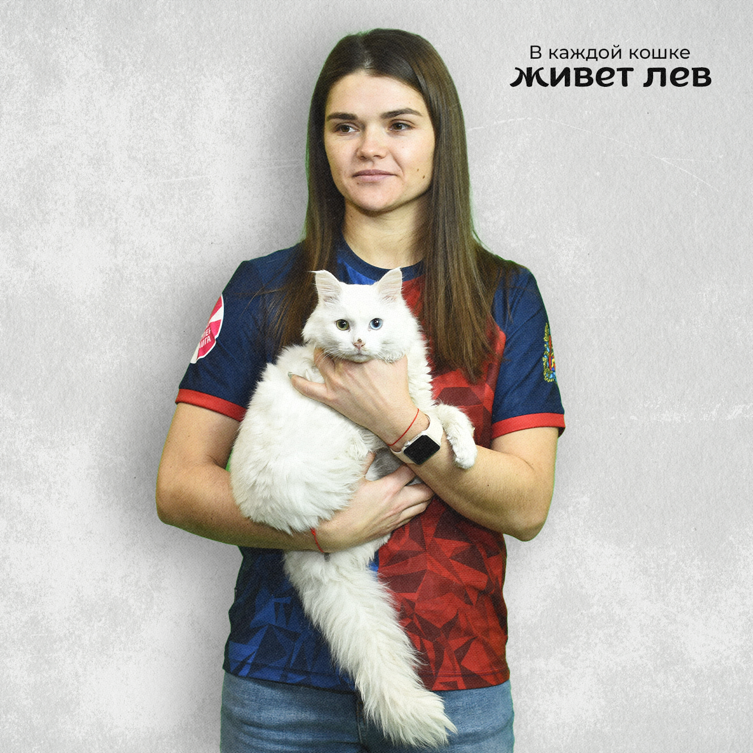 жфк 4.png
