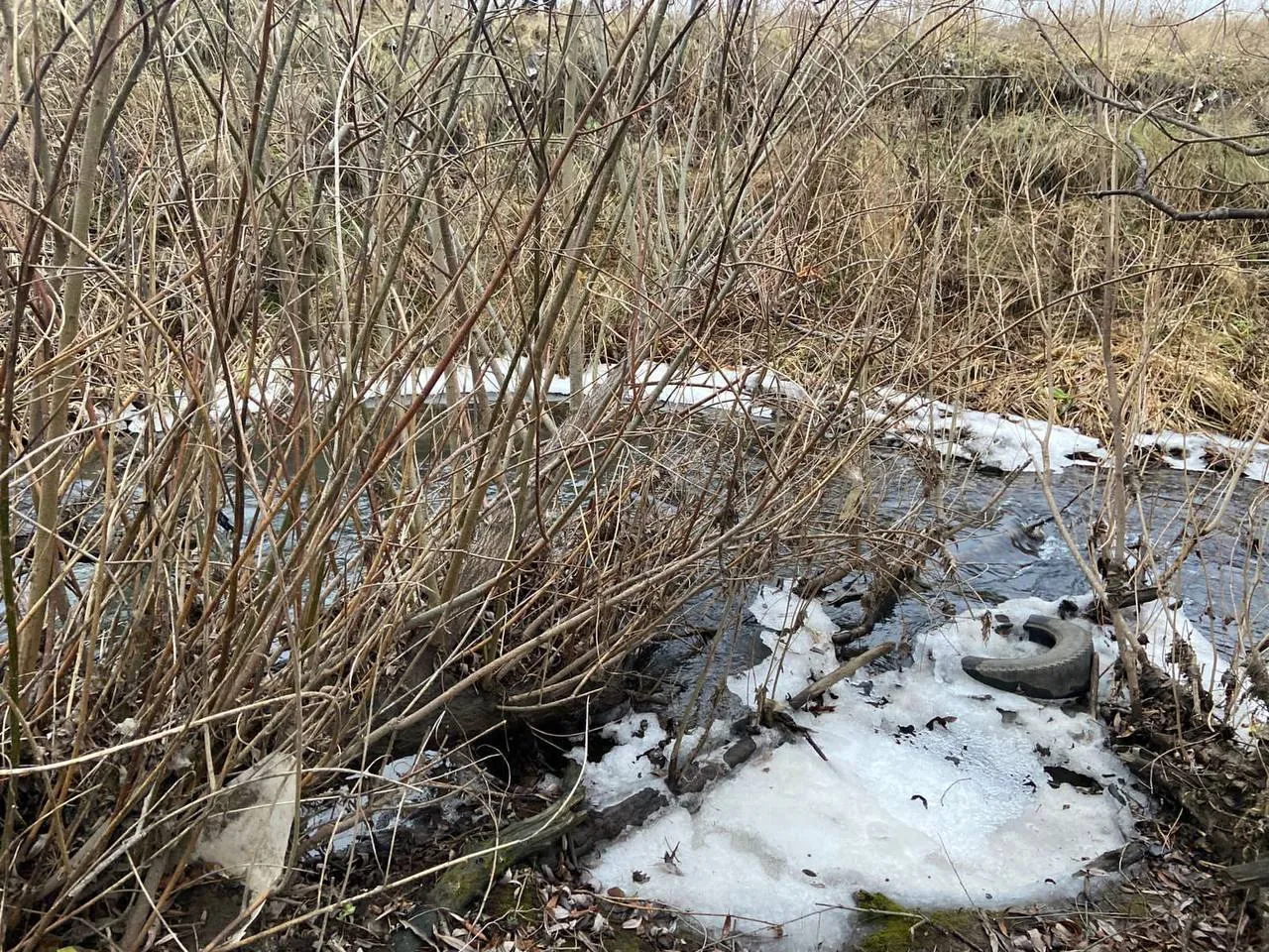 В Ачинске 12-летнего мальчика поместили в спецучреждение по подозрению в убийстве сверстника