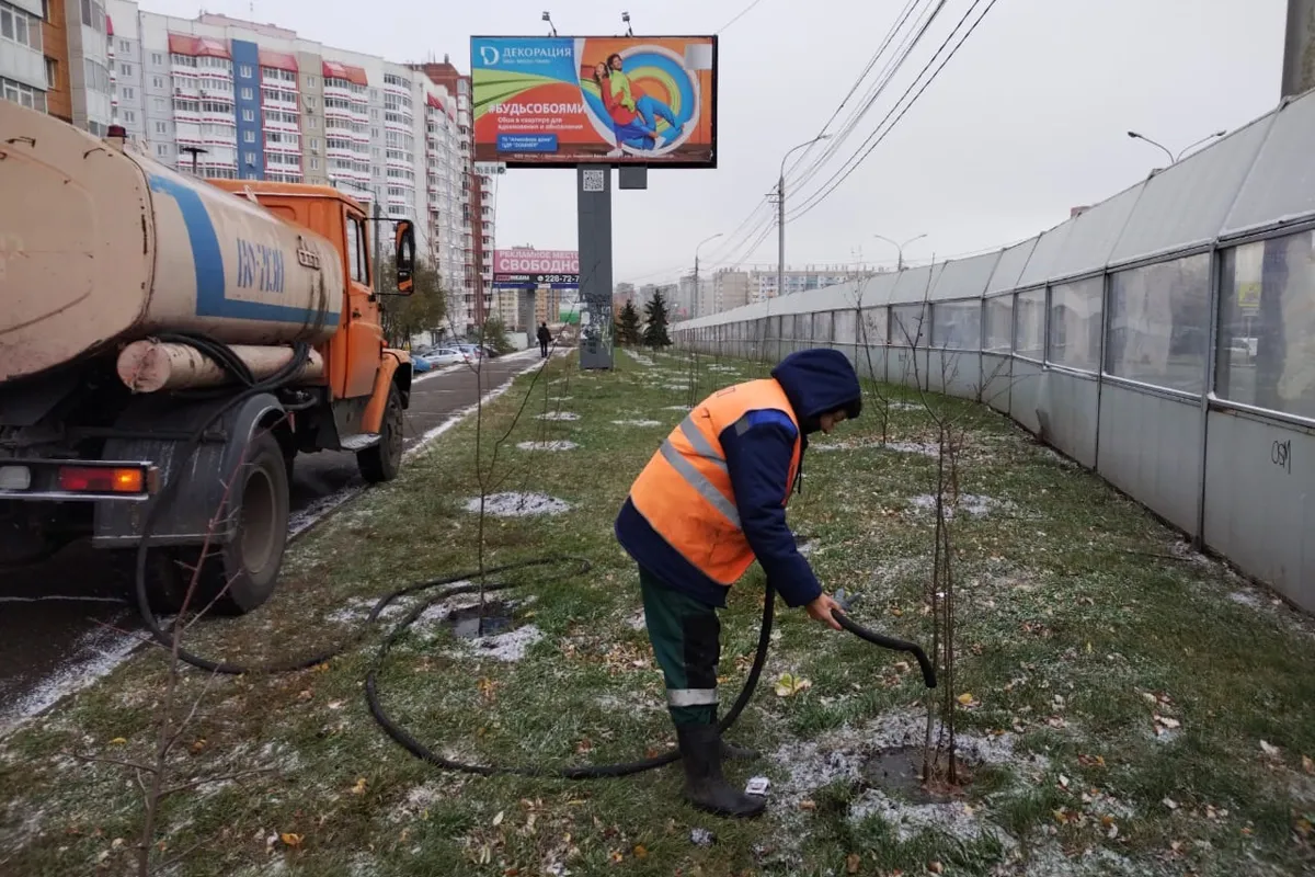 В Красноярске деревьям помогают накопить влагу на зимний период