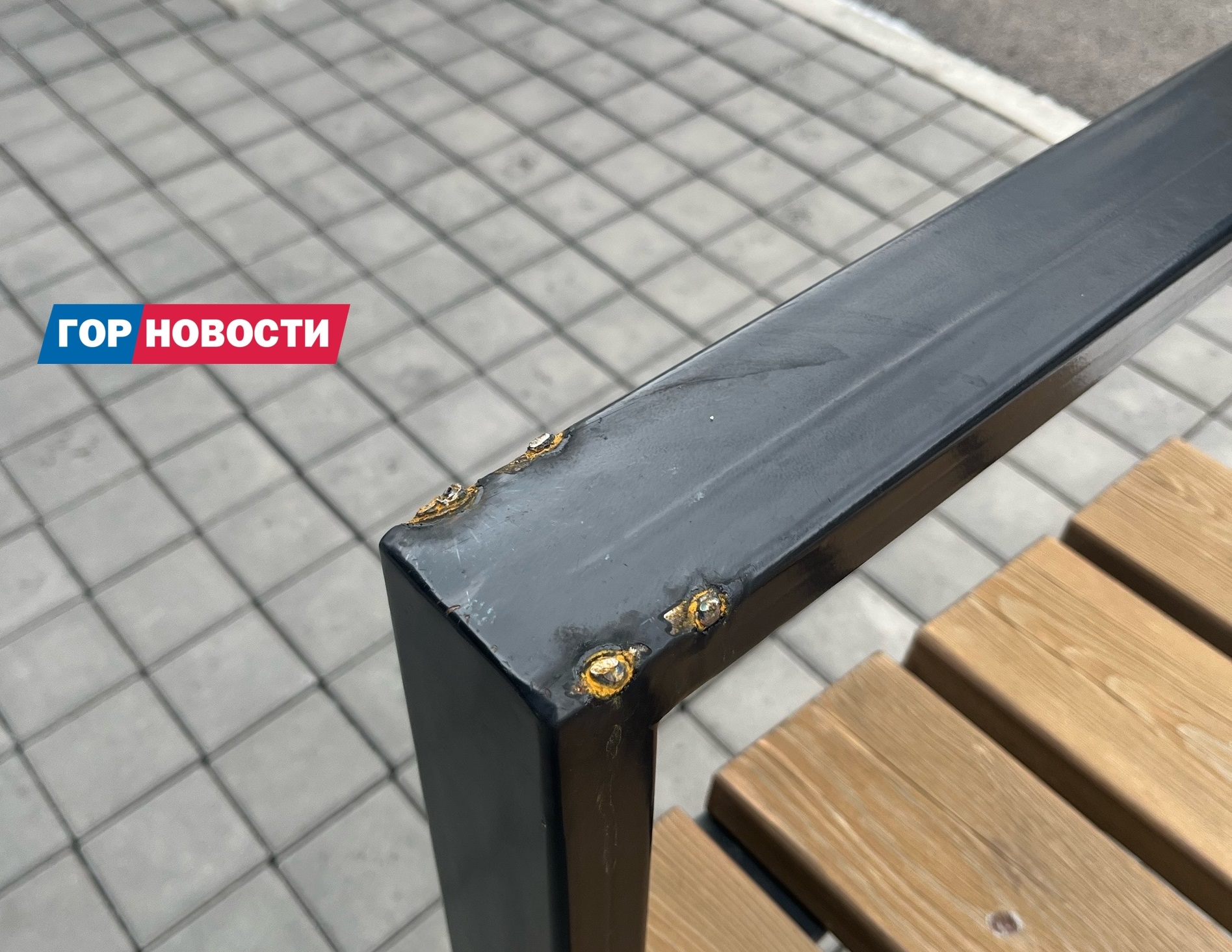 суслик.jpg суслик.jpg