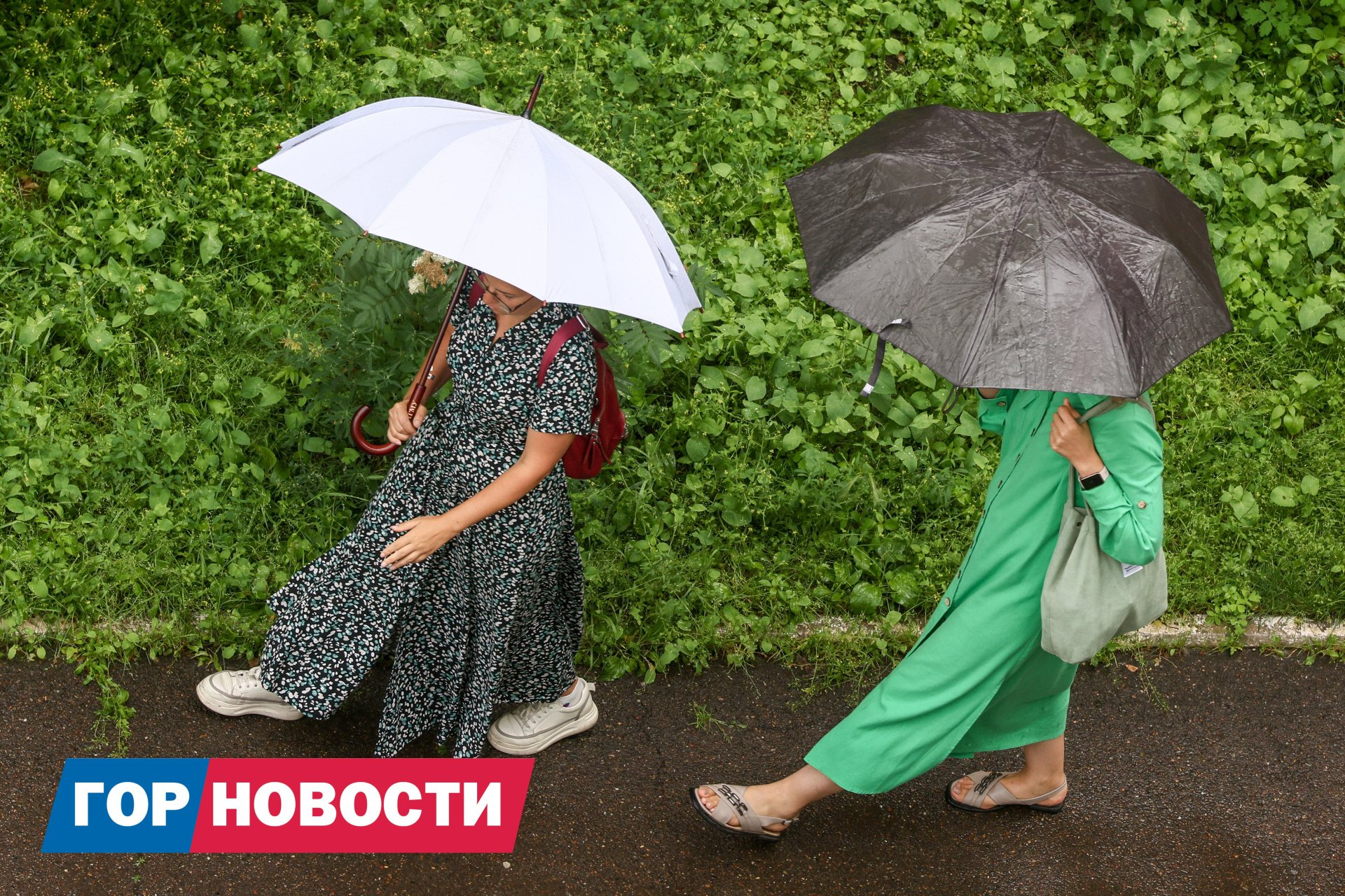 Ливни и шквалистый ветер задержатся на юге Красноярского края