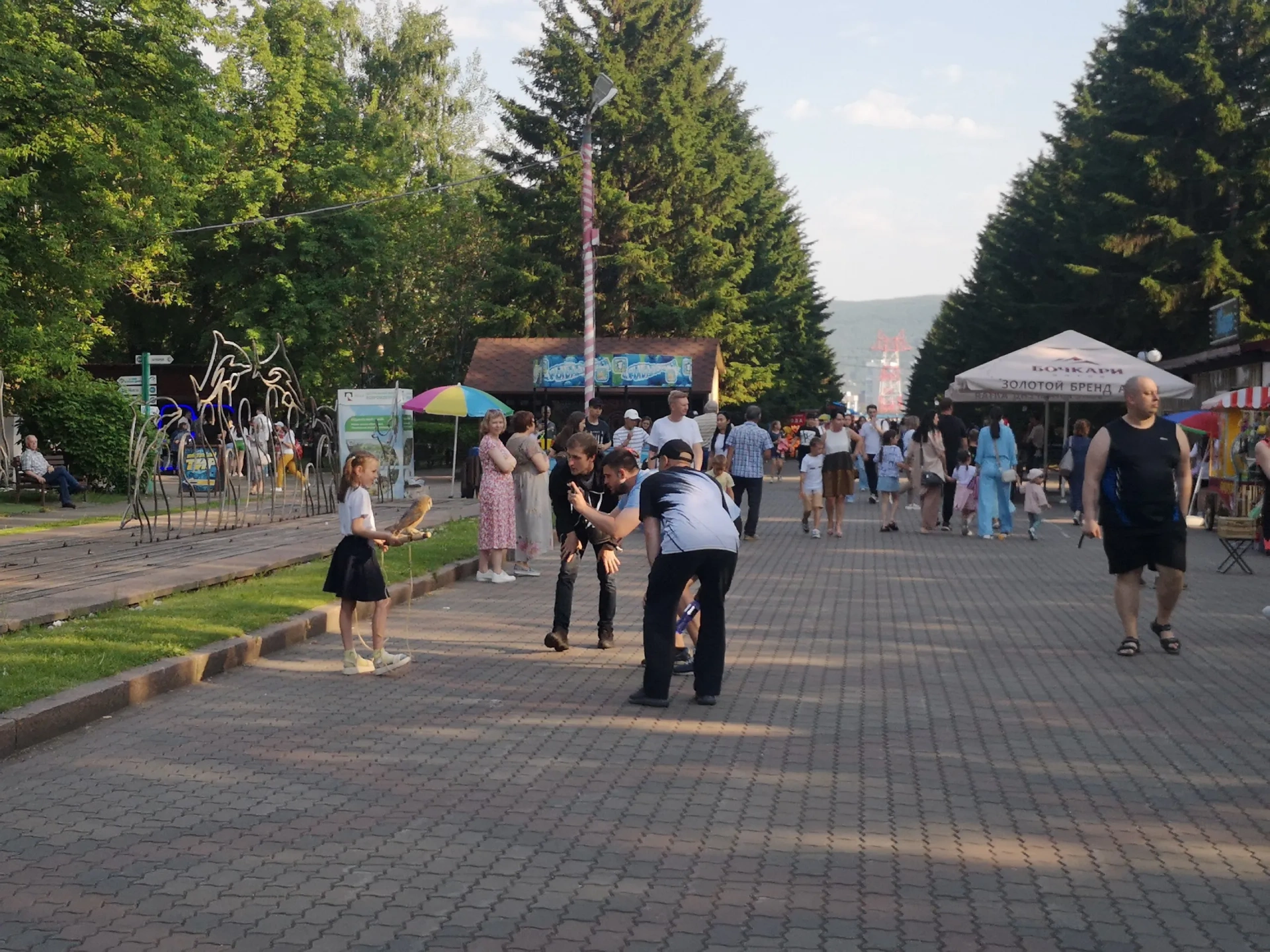 В Красноярске выдали предостережения уличным фотографам с животными