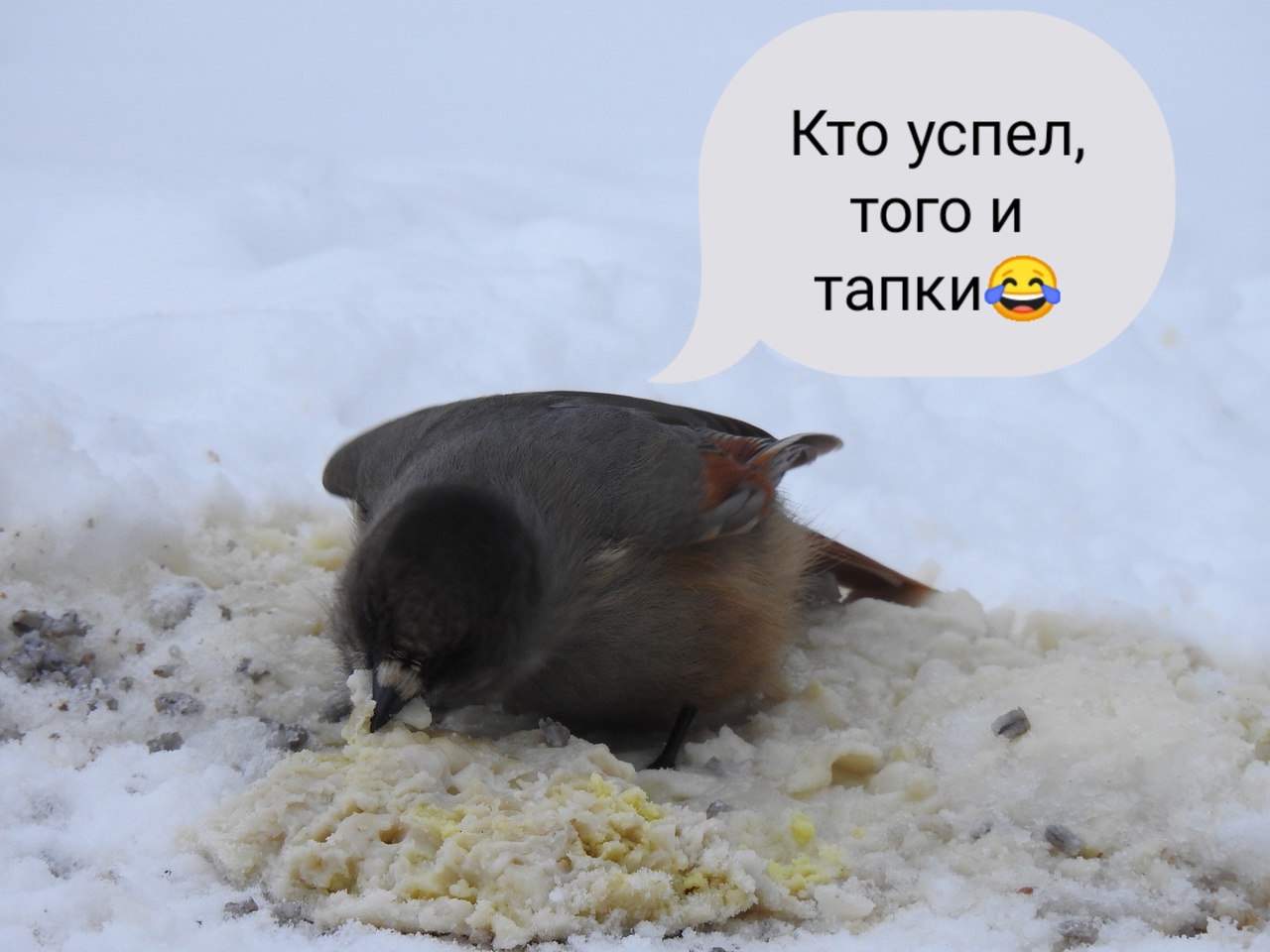 020mmgrH4to.jpg