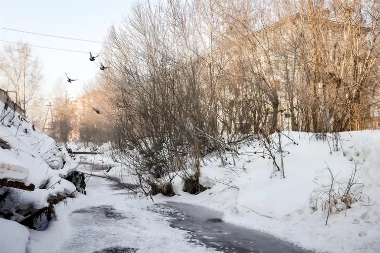 В Красноярске ищут подрядчика для благоустройства набережной Бугача в Железнодорожном районе