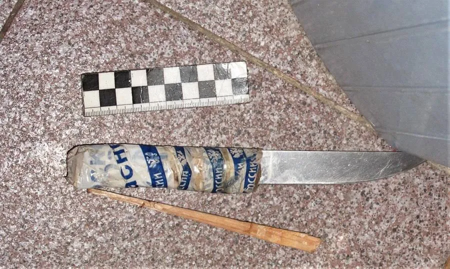 Жителя Красноярского края приговорили к двум годам колонии за угрозы соседке