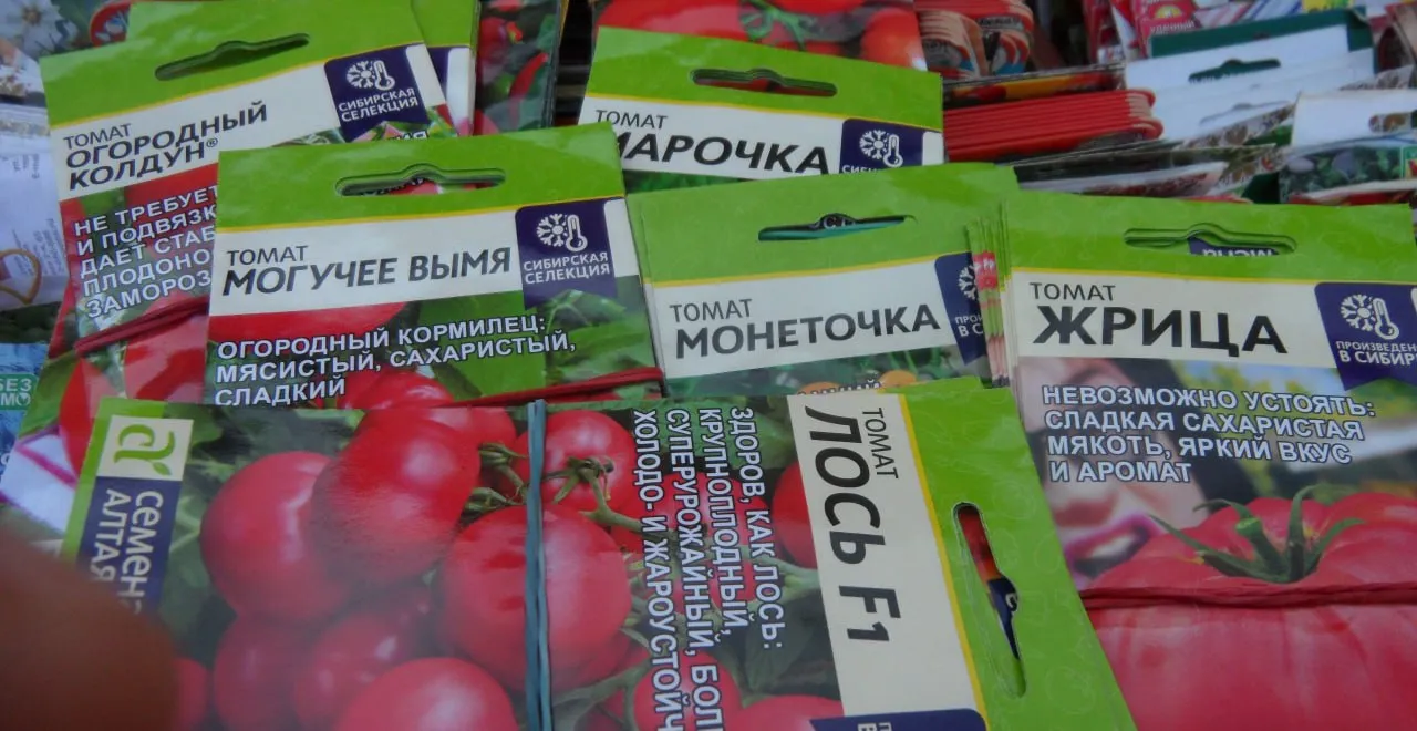 Россельхознадзор выявил в Красноярском крае продажу ненастоящих сортов