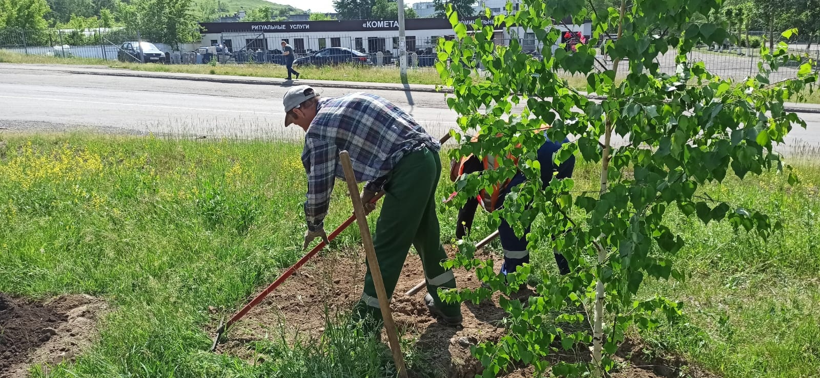 В Красноярске озеленяют дорогу к Шинному кладбищу