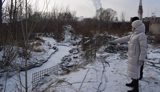 Река Паниковка в Красноярске подтопила участки и жилые дома