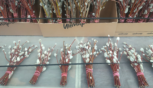 В Красноярске начали продавать вербу и первую черемшу